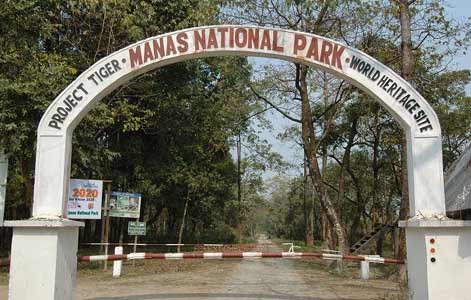 manas_park